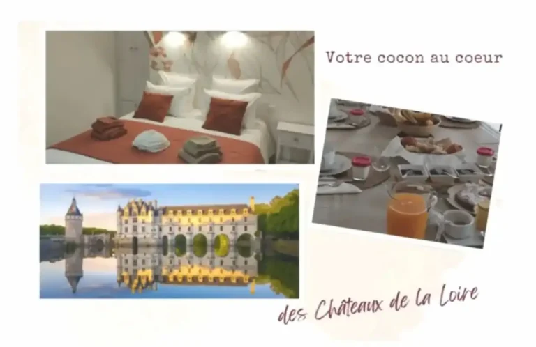 Carte cadeau Châteaux de la Loire – séjour en chambres d’hôtes Chenonceau – L’Orée des Vignes