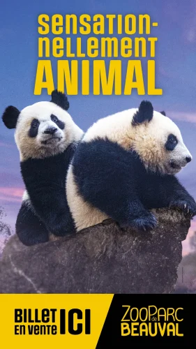 PrestaTouristiques_ZPDB_BilletIci_1080x1920_Panda